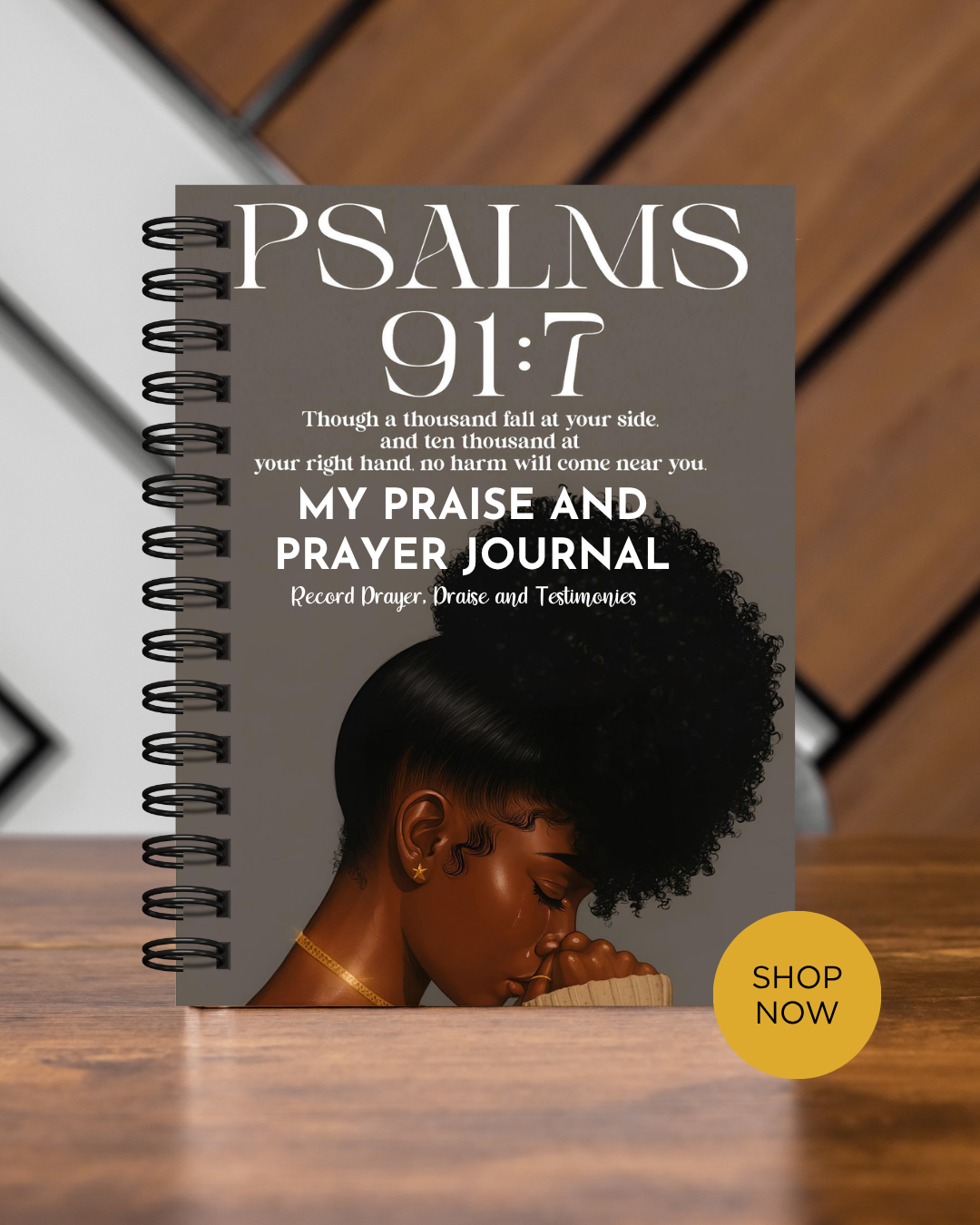 Praise & Prayer Journal – Faith-Filled Daily Reflections - BT Collection LLC